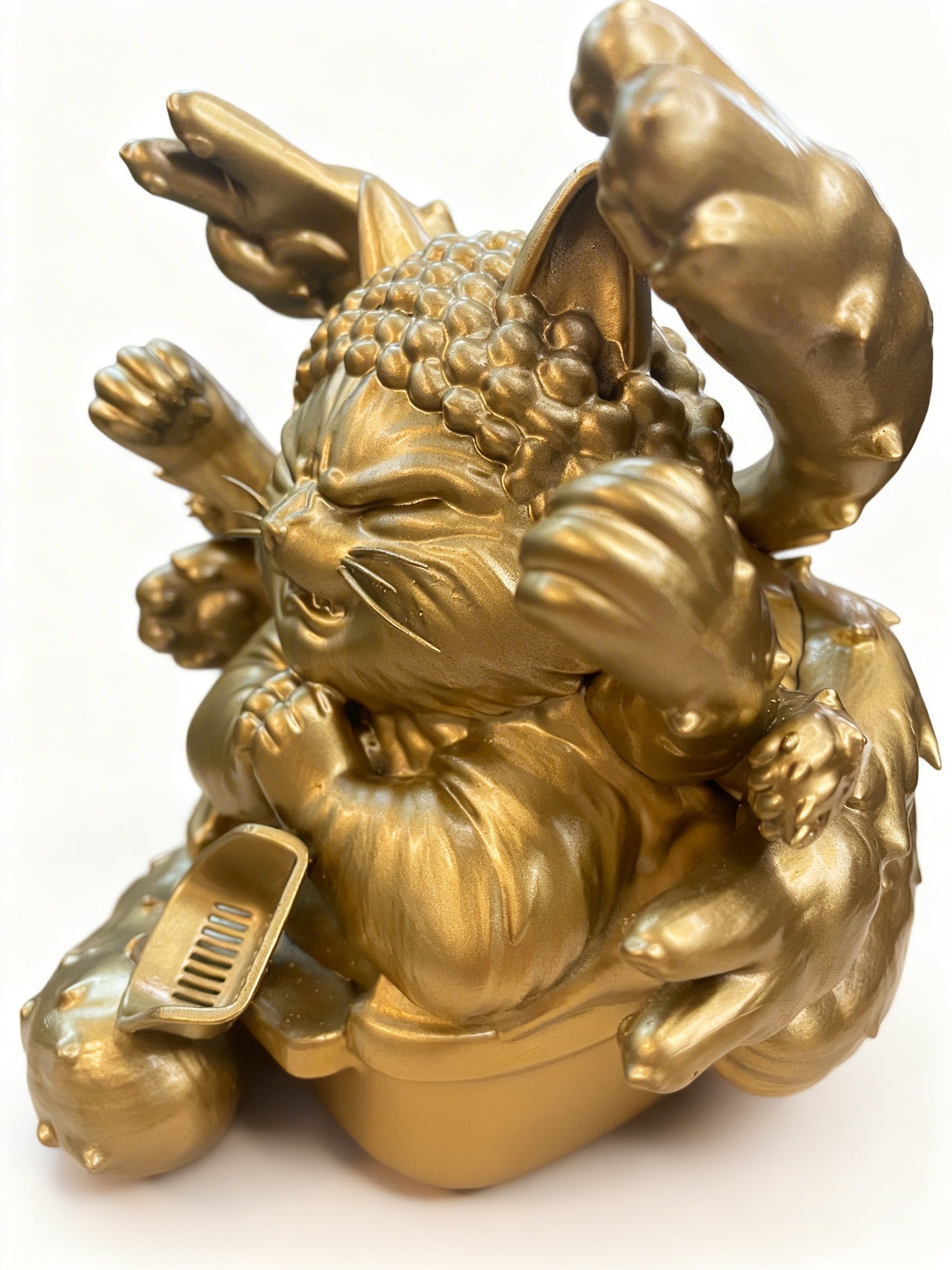 千手佛貓 𝘽𝙪𝙙𝙙𝙝𝙖 𝙋𝙖𝙬𝙨