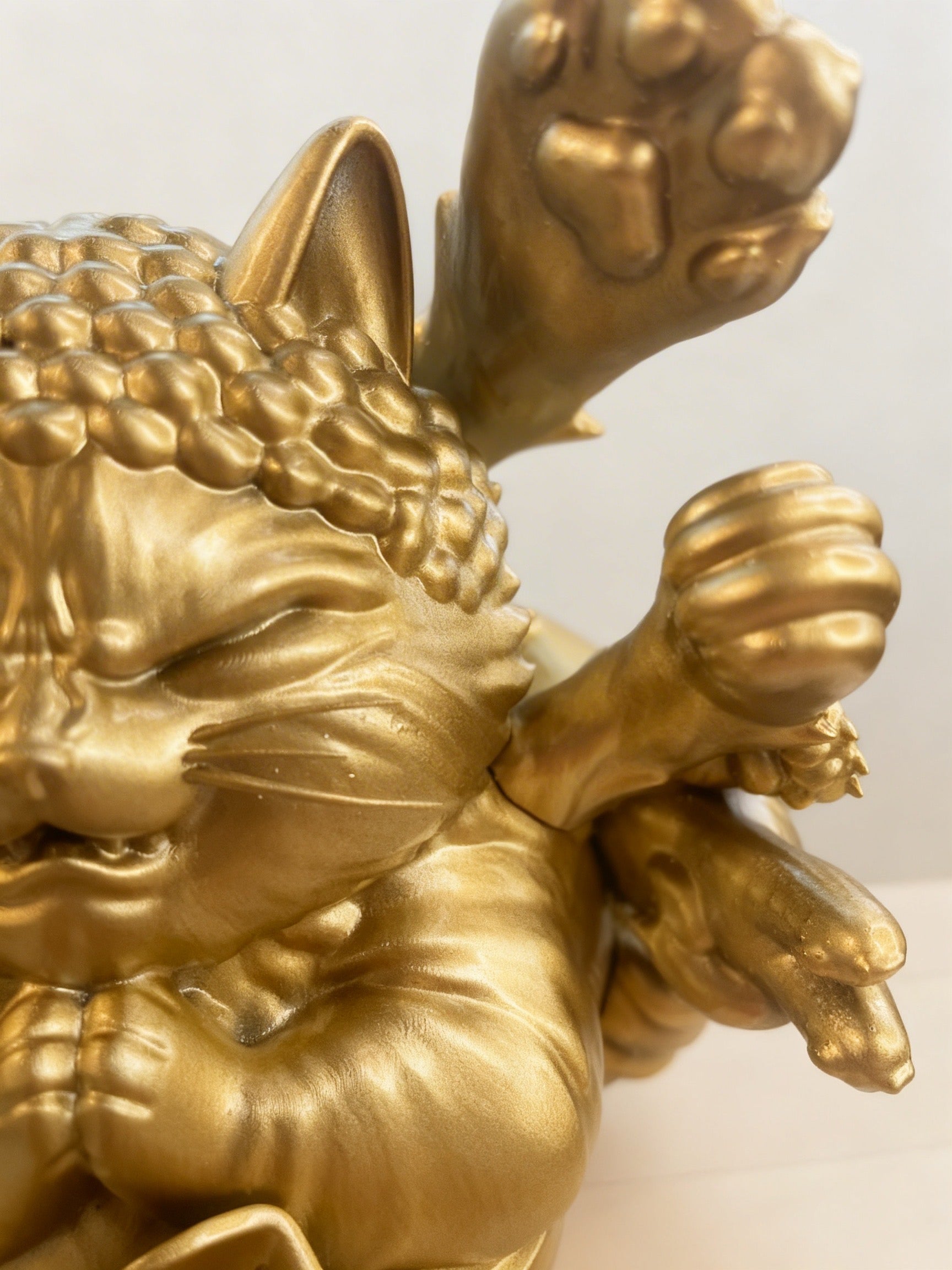 千手佛貓 𝘽𝙪𝙙𝙙𝙝𝙖 𝙋𝙖𝙬𝙨